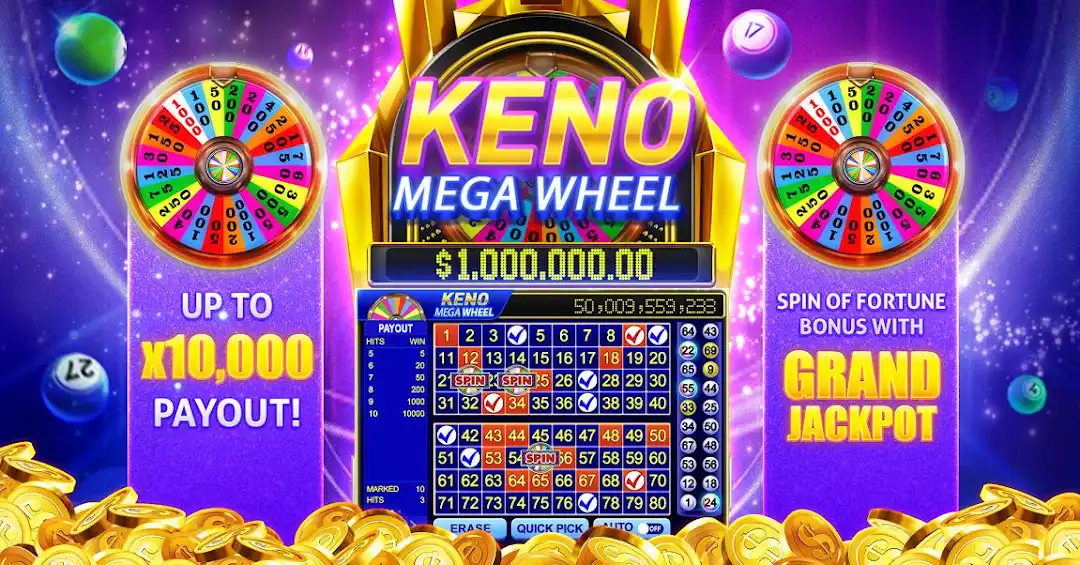 23win 4play bet cassino Android